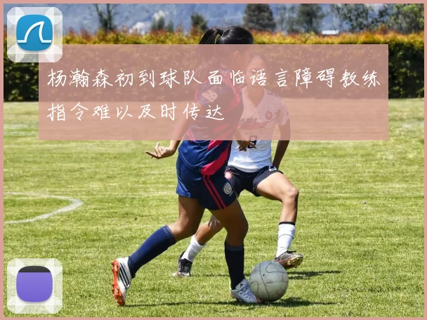 杨瀚森初到球队面临语言障碍教练指令难以及时传达